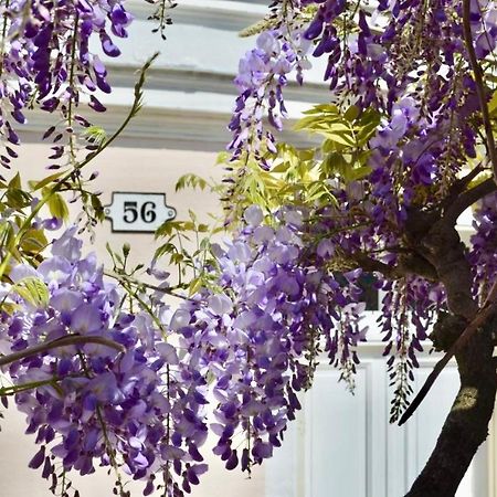 Bed and Breakfast Wisteria Fontainebleau Exterior foto