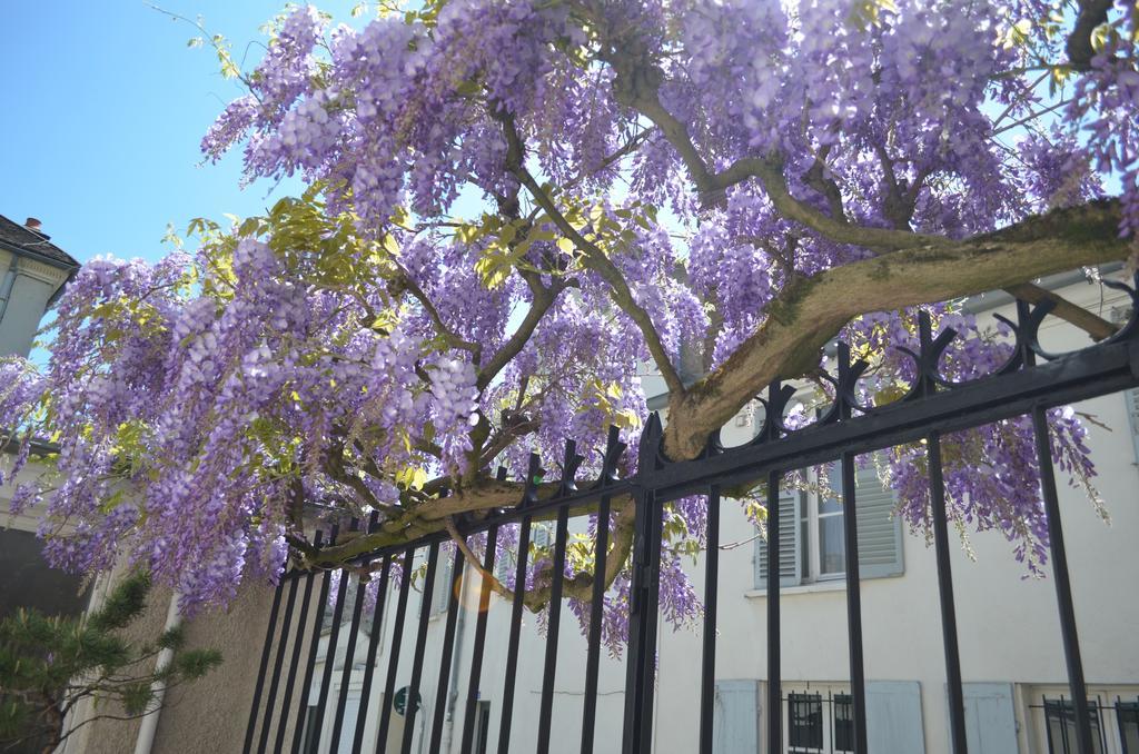 Wisteria Bed and Breakfast Fontainebleau Exterior foto