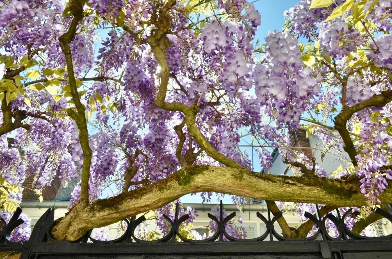 Bed and Breakfast Wisteria Fontainebleau Exterior foto