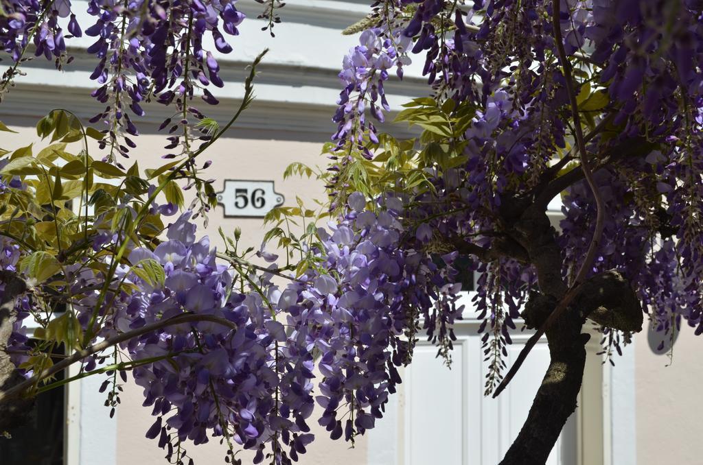 Wisteria Bed and Breakfast Fontainebleau Exterior foto